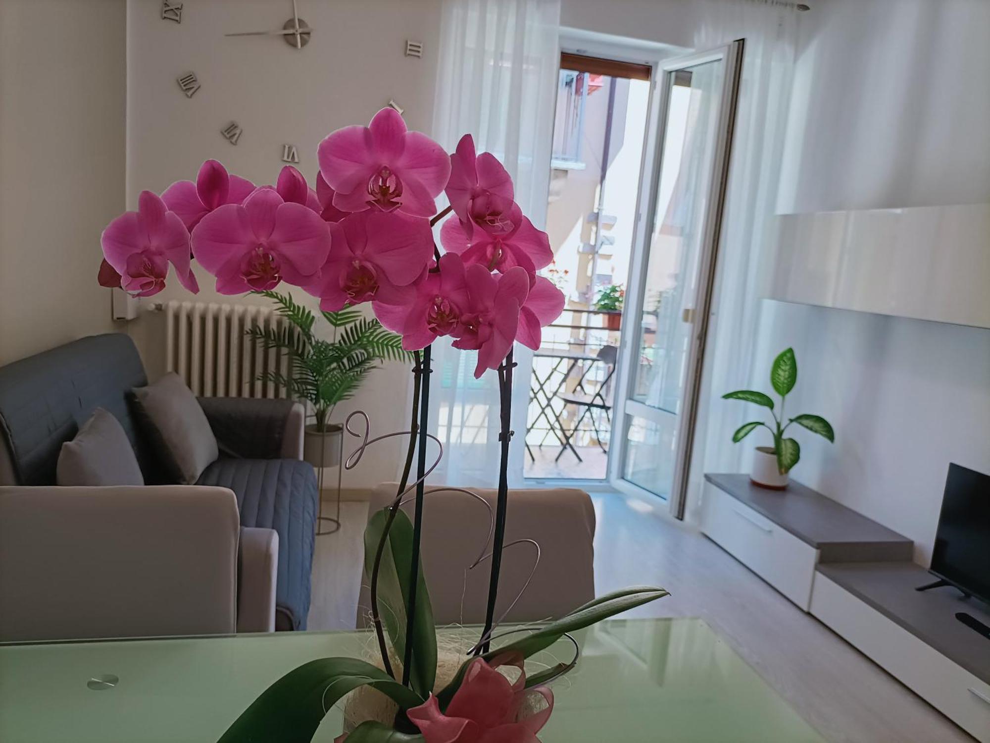 Apartment Jessy Baveno Bagian luar foto